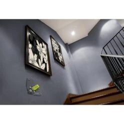 RYOBI Multi-Surface Laser Level -Tool Series Store ELL1750 06