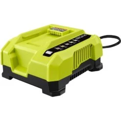 Tool Series Store 39 RYOBI 40V Rapid Charger