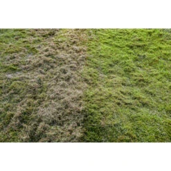 RYOBI 18V ONE+ HP Brushless 14" Dethatcher/Aerator Kit 14 RYOBI 18V ONE+ HP Brushless 14" Dethatcher/Aerator Kit -Tool Series Store P2740 07