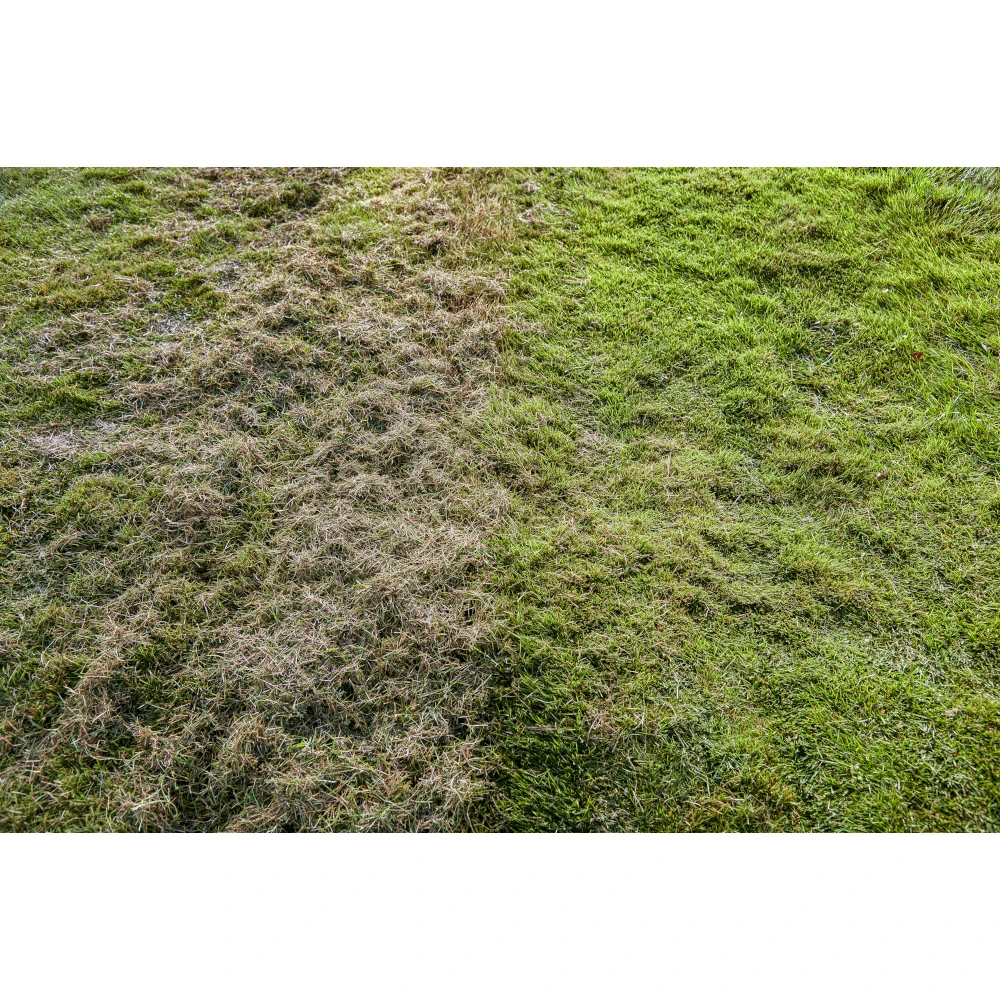 RYOBI 18V ONE+ HP Brushless 14" Dethatcher/Aerator Kit 7 RYOBI 18V ONE+ HP Brushless 14" Dethatcher/Aerator Kit - Image 7